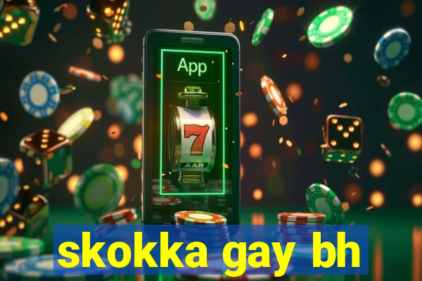 skokka gay bh